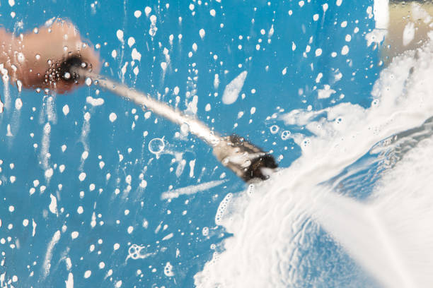 Animal Enclosure Cleaning in Lantana, FL